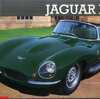 今プラモデルの1/24 JAGUAR XK SSにいい感じでとんでもないことが起こっている？