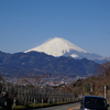 クラブランの日は天気がよい