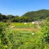 酷暑でも元気いっぱい❗️《岸和田市放課後等デイサービス ほっとスペースあんの一日🌈》