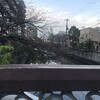 海老川