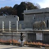 岡崎市東公園 恐竜のモニュメントや紅葉狩り