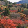 清水寺