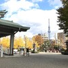【東京の風景】晩秋逍遥、そして