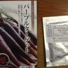 にんじんの追加まき