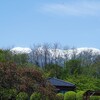 荒天。
