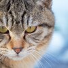 遠回りしているこの生き方が無駄なように見えてきたら