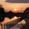 天神池公園周辺の桜&夕景（群馬県板倉町）