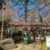 牧野記念庭園