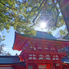 武蔵国一宮 氷川神社