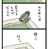 なかよしさん（トノサマガエル）