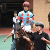 【一口馬主／ラキエータ、ラパンラピッド、ソワドリヨン、ミスティブルー】年内あと1戦…かな？