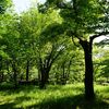 2016/05/05江戸東京博物館→国立公文書館→東博アフガン展