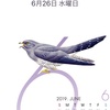 カンコ鳥？♪