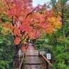 【京都】【御朱印】『光悦寺』に行ってきました。京都紅葉 女子旅 京都観光