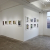【表大／写真展】2024.2/6-11＿よしざきしほ「里庭」、仲宗根寛子「裏庭学のすすめ」、坂本和志「善意の押し売り　気持ちの創造」＠同時代ギャラリー