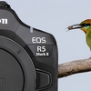 Canon「EOS R5 MarkⅡ」のAFは、劇的進化を果たすも完璧とは言えず！〜やはり期待は「R1」か？〜