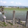四国遍路　4_3