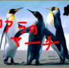 いまのことーはー playback! playback! （OpenCV 3.0.0-dev? inpaintで画像復元)