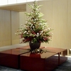 【福岡】クリスマスシーズンの「ザ・リッツ・カールトン 福岡」①