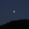 夜中の月、朝の月