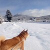 雪の後は　晴れて冷え込む