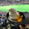 札幌ドームで野球観戦