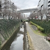 Photo No.2240 / 本文はおやすみします