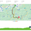 再訪・高野山町石道。やっぱり良い道です。