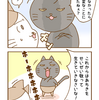 第47話「猫のお散歩 その4」猫漫画