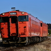 小湊鐵道を走る、2両編成の首都圏色のキハ40を撮る！