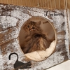 〈ほき〉トライアル→卒業