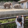 動物園。五本目の脚。きっとうまくいく。