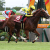 競馬初心者必見☆馬券予想🔥〜ローズS〜秋華賞へのラストチケット！