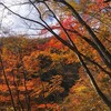 紅葉の丹波天平登山！見頃の時期とサオラ峠、天平尾根登山ルート詳細！