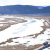 別寒辺牛湿原でゴーヨンを撮る その1　2023年末 北海道帰省シリーズ③