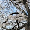 進級の春に♪「ぼく先生のこときらいです」