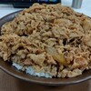 【唐揚げサイコー】毎日キング牛丼168日目