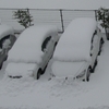 大雪だぁ〜