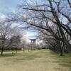 さくら宇宙公園とI-Nキッチン 高萩店と那須桜サイクリング