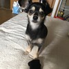 まろにー1204日目