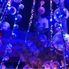 気仙沼のイルミネーション、その４