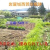 【狂犬通信 Vol.35】相模國足柄郡・岩原城