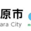 相模原市での準要保護世帯への昼食費支援について