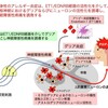 Allodynia(異痛症)とは何かについて今のうちに予習しておくついでに軽く紹介。感覚過敏とはまた別カテゴリーだからややこしい！神経の病を患ってる方は注意すべしです。