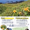 海辺の花園・再生プロジェクト