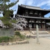 63.桜巡り(法隆寺～大和郡山城～氷室神社)