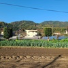 磐越道・高速紅葉狩り