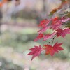 じぶん Release Notes (ver 0.42.8)