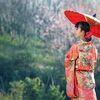 見る側