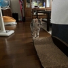 見た目が大事⁉